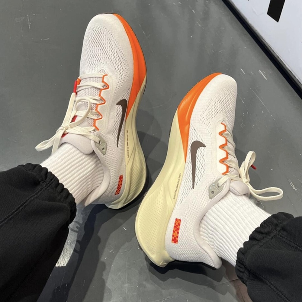 全新正版 NIKE Air Zoom Pegasus 41 小飛馬 慢跑鞋  蛇年限定 男女通用 HV5975-102-細節圖4