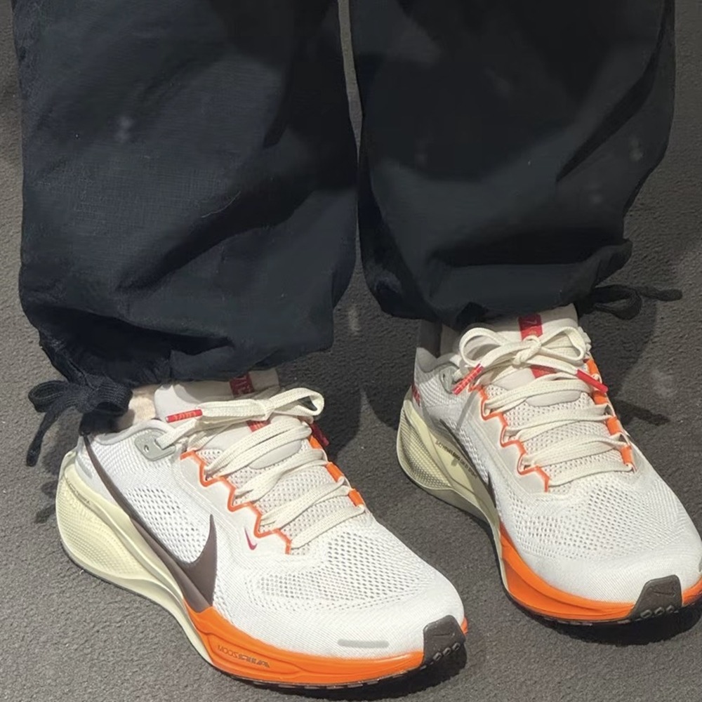 全新正版 NIKE Air Zoom Pegasus 41 小飛馬 慢跑鞋  蛇年限定 男女通用 HV5975-102-細節圖5