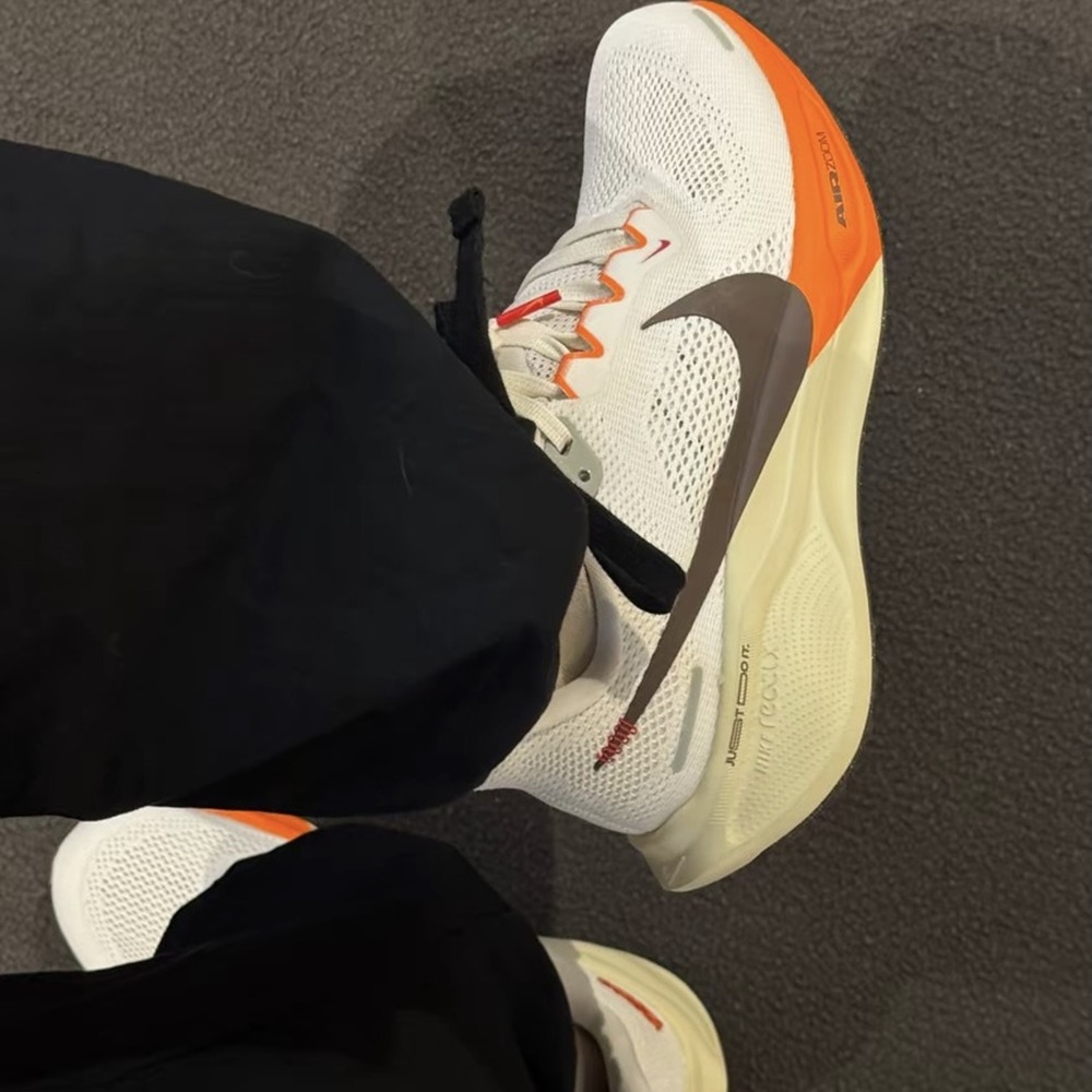 全新正版 NIKE Air Zoom Pegasus 41 小飛馬 慢跑鞋  蛇年限定 男女通用 HV5975-102-細節圖8