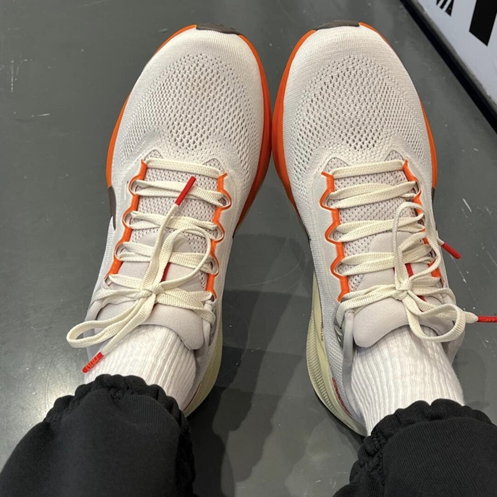 全新正版 NIKE Air Zoom Pegasus 41 小飛馬 慢跑鞋  蛇年限定 男女通用 HV5975-102-細節圖9