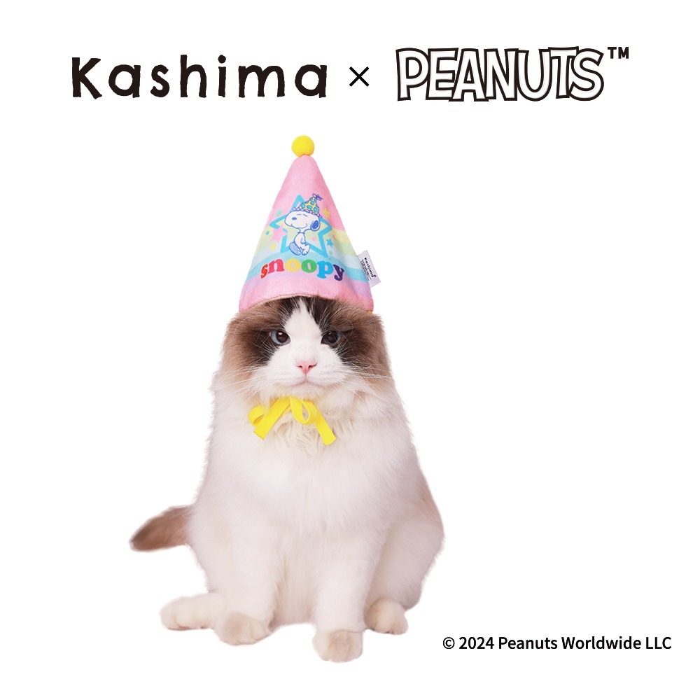 【Kashima X Snoopy】史努比寵物生日組(帽子+口水巾)可以是玩具也可以是服飾 綁繩抽繩設計 含響紙 貓狗-細節圖2