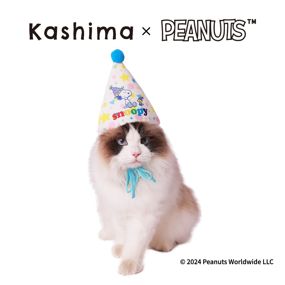 【Kashima X Snoopy】史努比寵物生日組(帽子+口水巾)可以是玩具也可以是服飾 綁繩抽繩設計 含響紙 貓狗-細節圖3