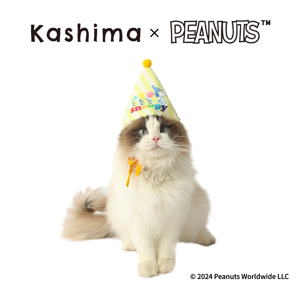 【Kashima X Snoopy】史努比寵物生日組(帽子+口水巾)可以是玩具也可以是服飾 綁繩抽繩設計 含響紙 貓狗-細節圖4