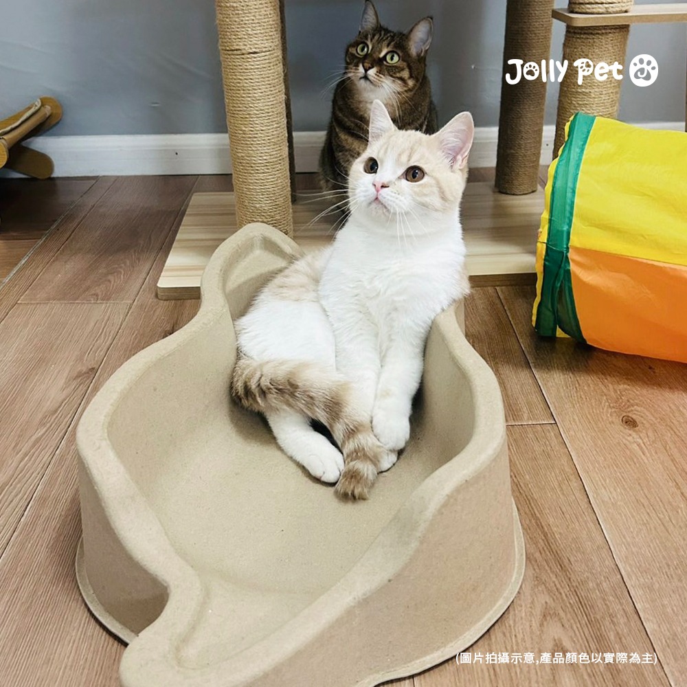 【現貨】JollyPet紙漿貓窩 兩款 輕巧耐用 環保 防潮防水 睡窩 貓抓盆-細節圖4
