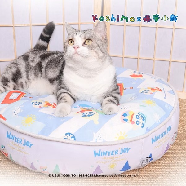 冬日歡樂滑雪(藍)