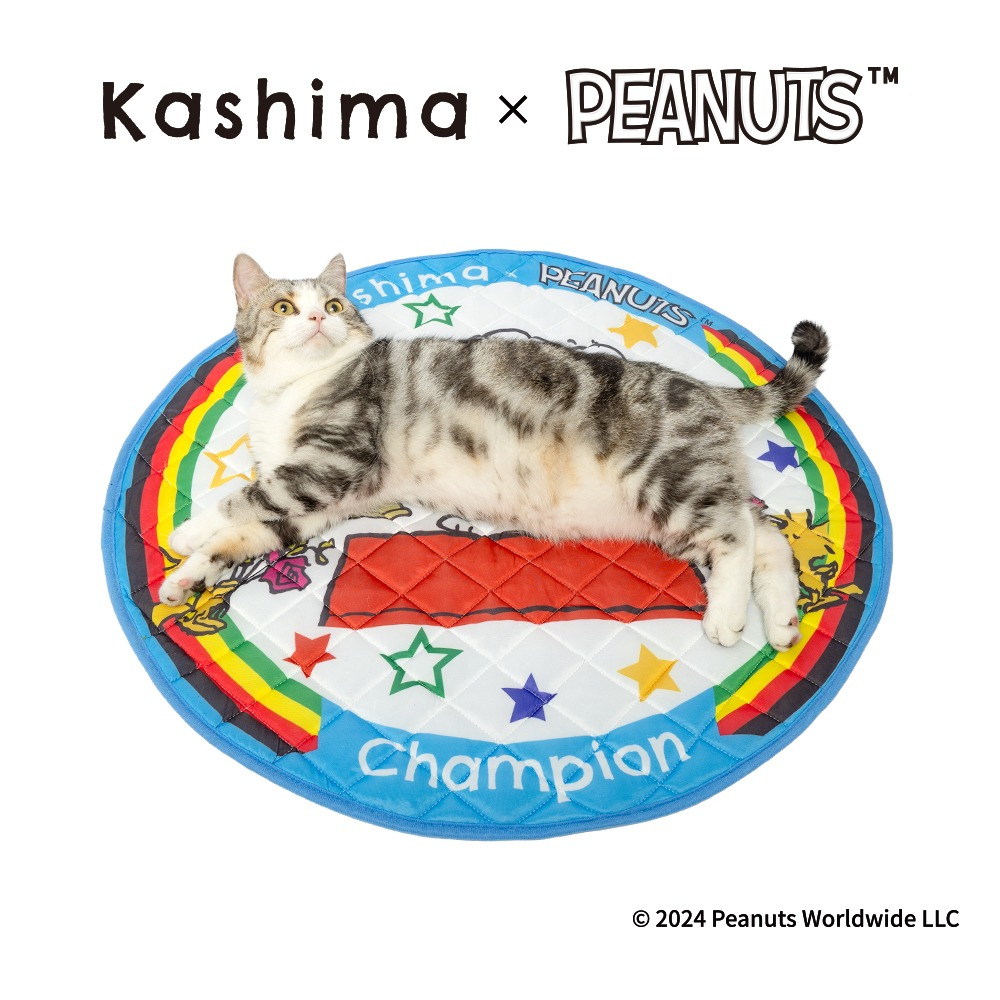 正版Kashima X Snoopy 史努比冠軍涼墊｜涼感降溫｜寵物冰墊｜貓狗通用｜寵物涼感墊｜狗涼感墊｜史努比墊-細節圖2