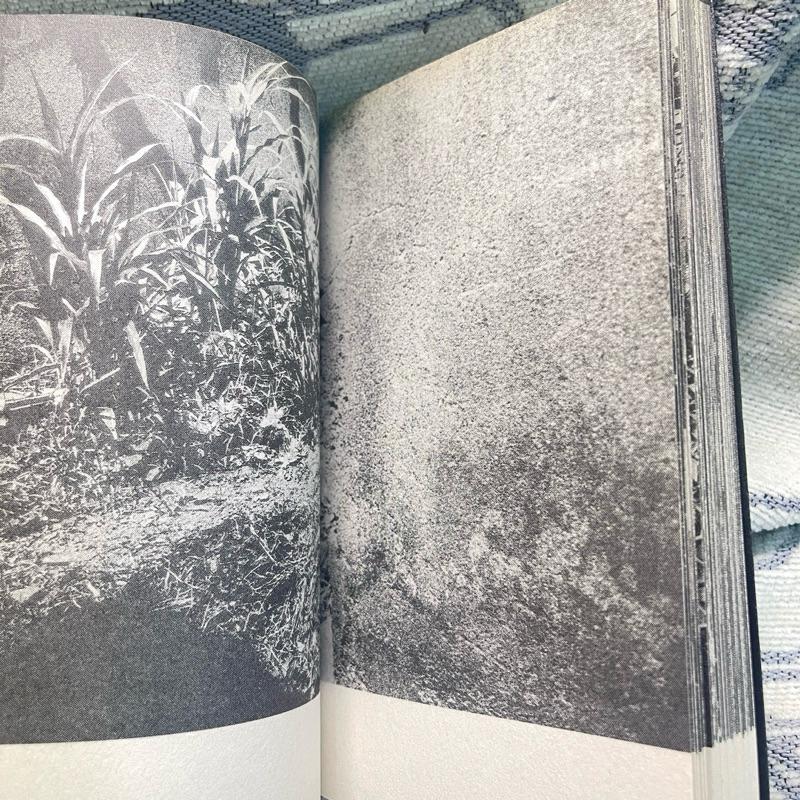 森山大道 Shadow New Edition and Light & Shadow light (2009)-細節圖6