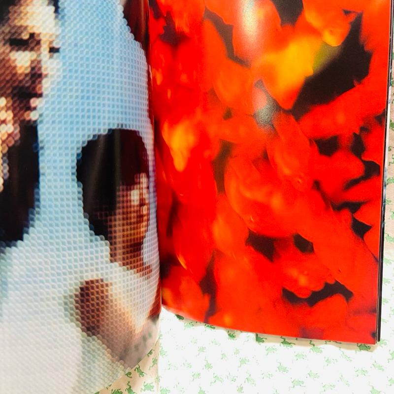 PHOTOGRAPHICA 經典攝影日雜特別号 蜷川実花 NINAGAWA SHANGHAI 2010-細節圖2