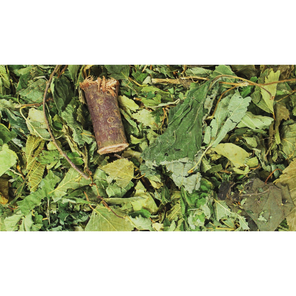 JR Farm 森林的奧秘輔食包 100g-細節圖2