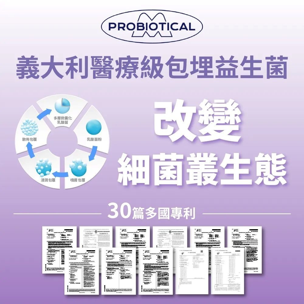 【momochan】蓋比娃娃屋元氣益生菌 (30包/盒) - 環球正版授權-細節圖5