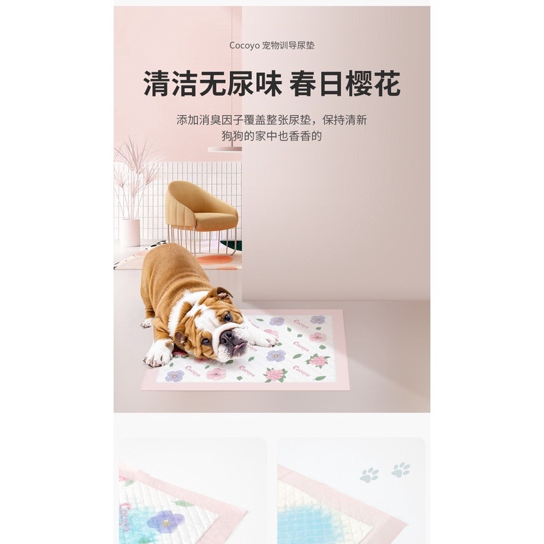 【台灣現貨】cocoyo 春日櫻花款 寵物尿墊 寵物尿布墊 尿布墊 尿墊 狗尿墊 狗尿布墊 狗狗尿布墊 狗狗尿墊-細節圖3