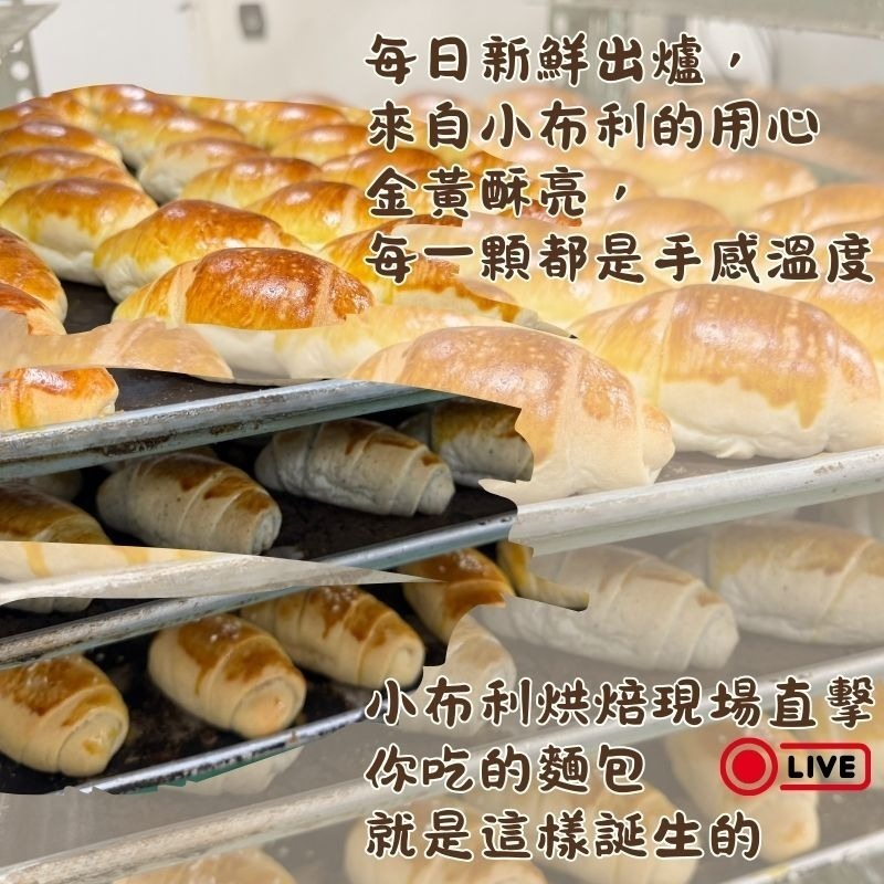 金豐凜 10入小布利麵包  一顆只要 $8  工廠直送・鬆軟奶香 三款人氣口味 原味 黑芝麻 黑糖 烘培 早餐 點心-細節圖2