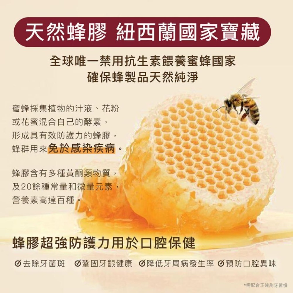 好市多代購 宅配免運 Red Seal 紅印蜂膠牙膏 清新草本牙膏 無氟兒童牙膏-細節圖2