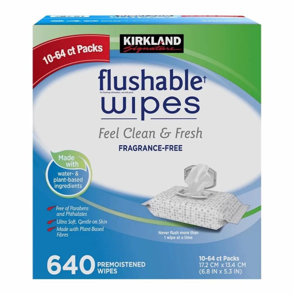 好市多官網代購 宅配免運 科克蘭濕式衛生紙 64張 X 10包-細節圖2