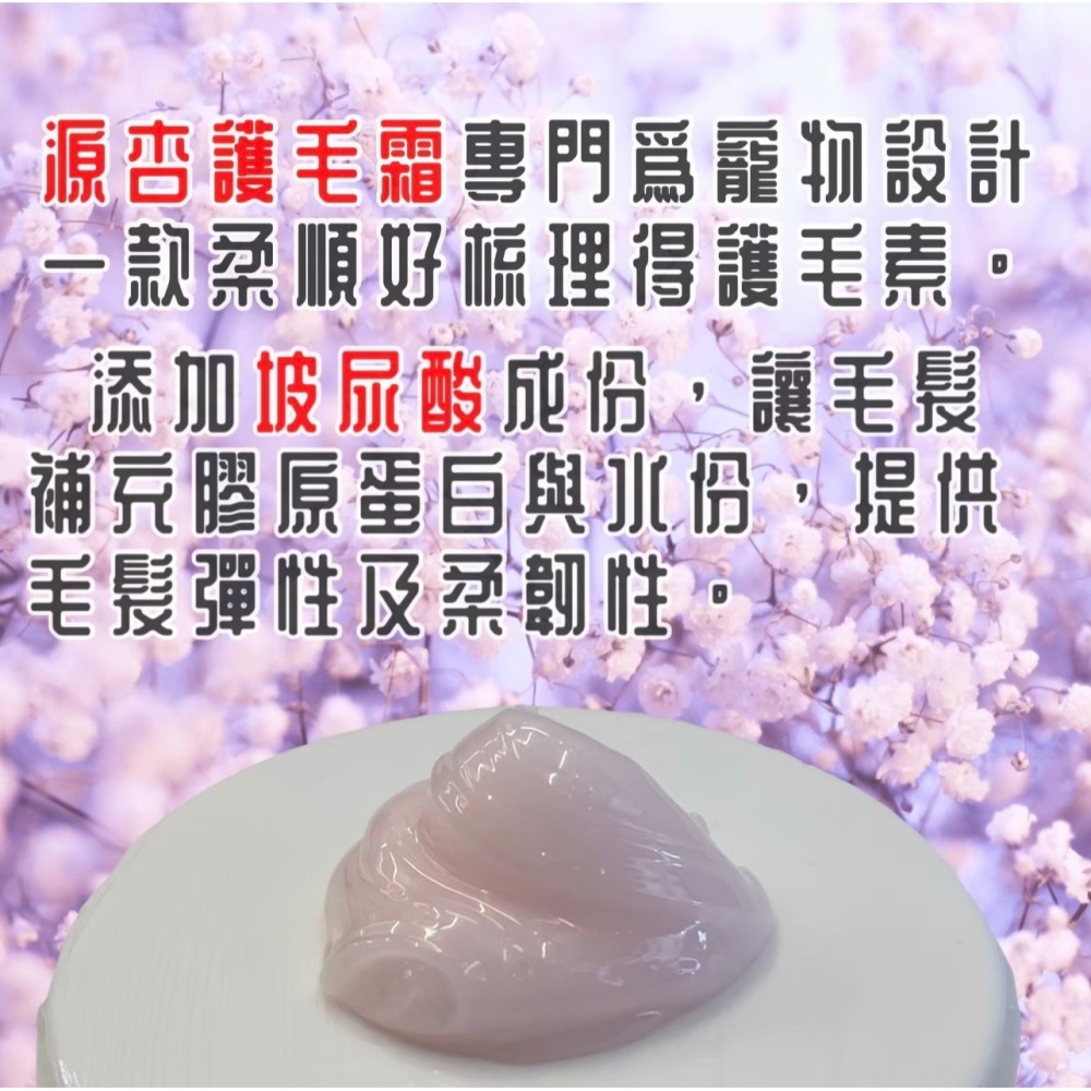 ISO國際認證🍀小福袋🍀源杏精粹護毛霜 1000ml/罐 寵物專用 護毛乳 清香 保養 柔順 好梳理 毛髮寵物美容師-細節圖2