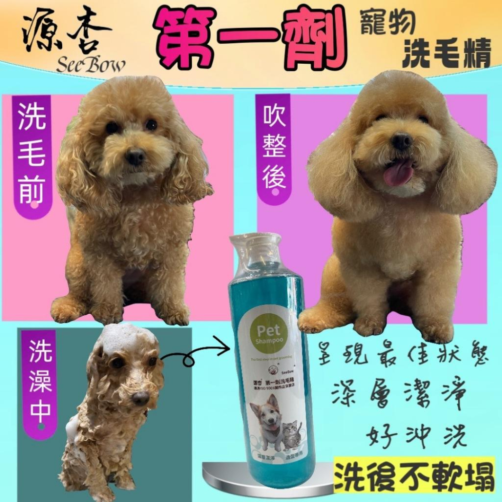 🍀小福袋🍀 源杏 寵物 第一劑 洗毛精 20ml/瓶 清潔 皮膚 毛髮 好吹直 洗後不軟塌 美容師強力推薦 犬 狗 貓-細節圖2