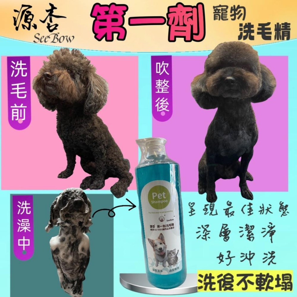 🍀小福袋🍀 源杏 寵物 第一劑 洗毛精 20ml/瓶 清潔 皮膚 毛髮 好吹直 洗後不軟塌 美容師強力推薦 犬 狗 貓-細節圖4