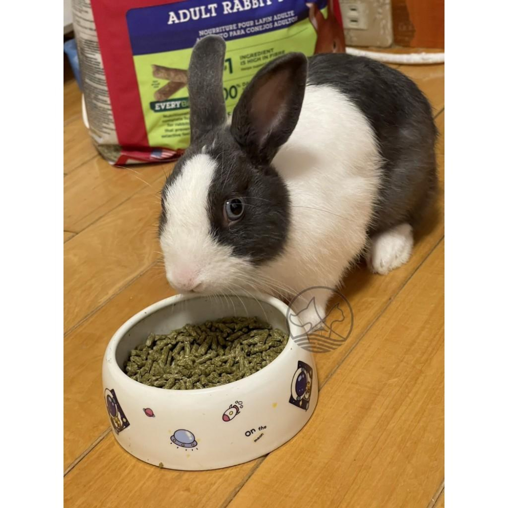 🍀小福袋🍀美國 OXBOW 活力幼兔配方飼料10LB(4.54kg) /包 幼兔 兔子飼料 寵兔 壓縮飼料-細節圖4