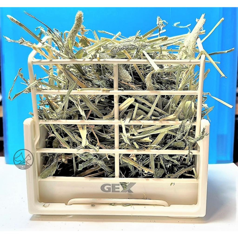 🍀小福袋🍀兔子 牧草架 日本GEX 固定式 牧草盒(AB-787)白色 龍貓 小動物 草盆-細節圖4