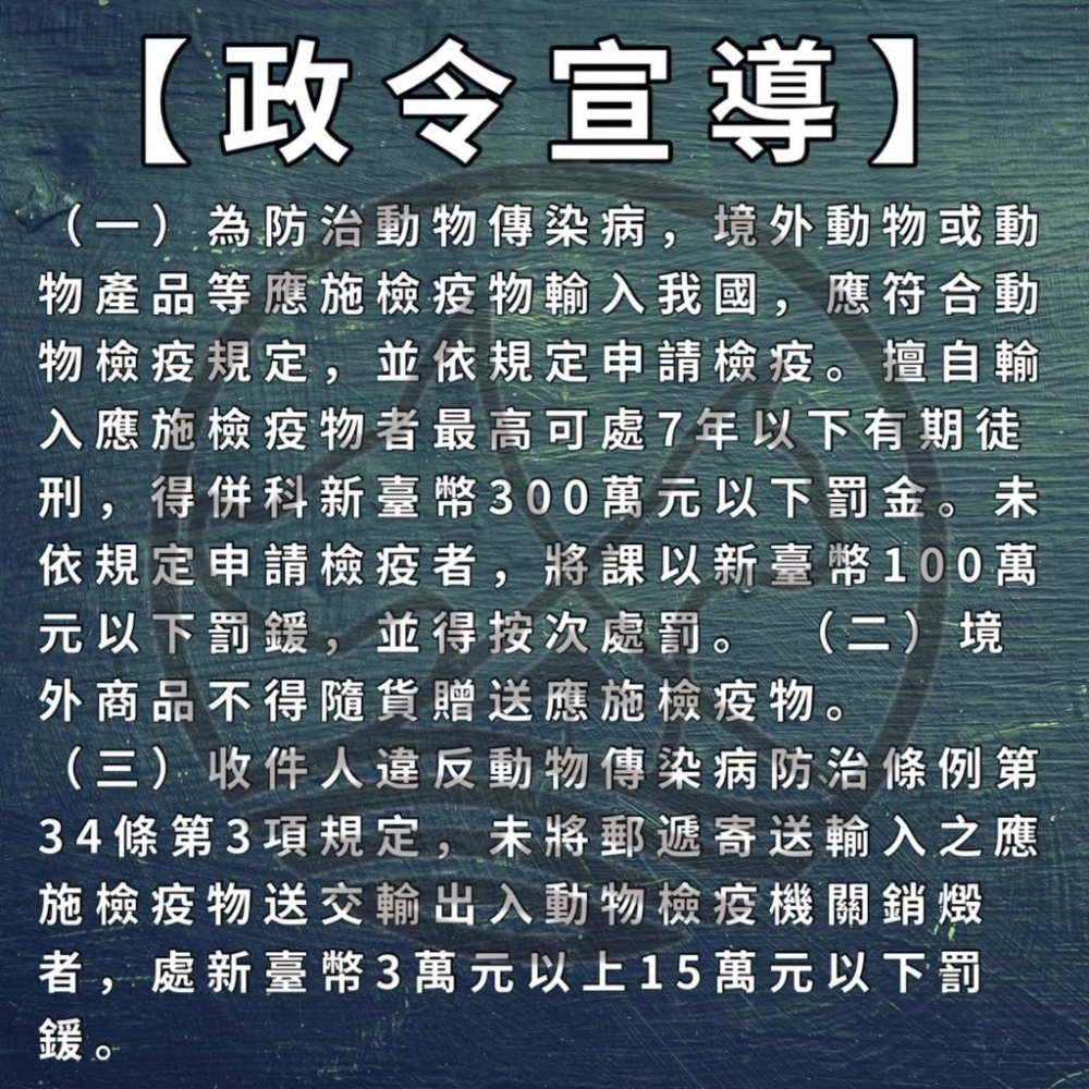 🍀小福袋🍀 SALMO PET 挪威 活力寶 ➤深海鮭魚油 300ml/瓶➤ 犬 貓 狗 魚油 營養補充-細節圖9