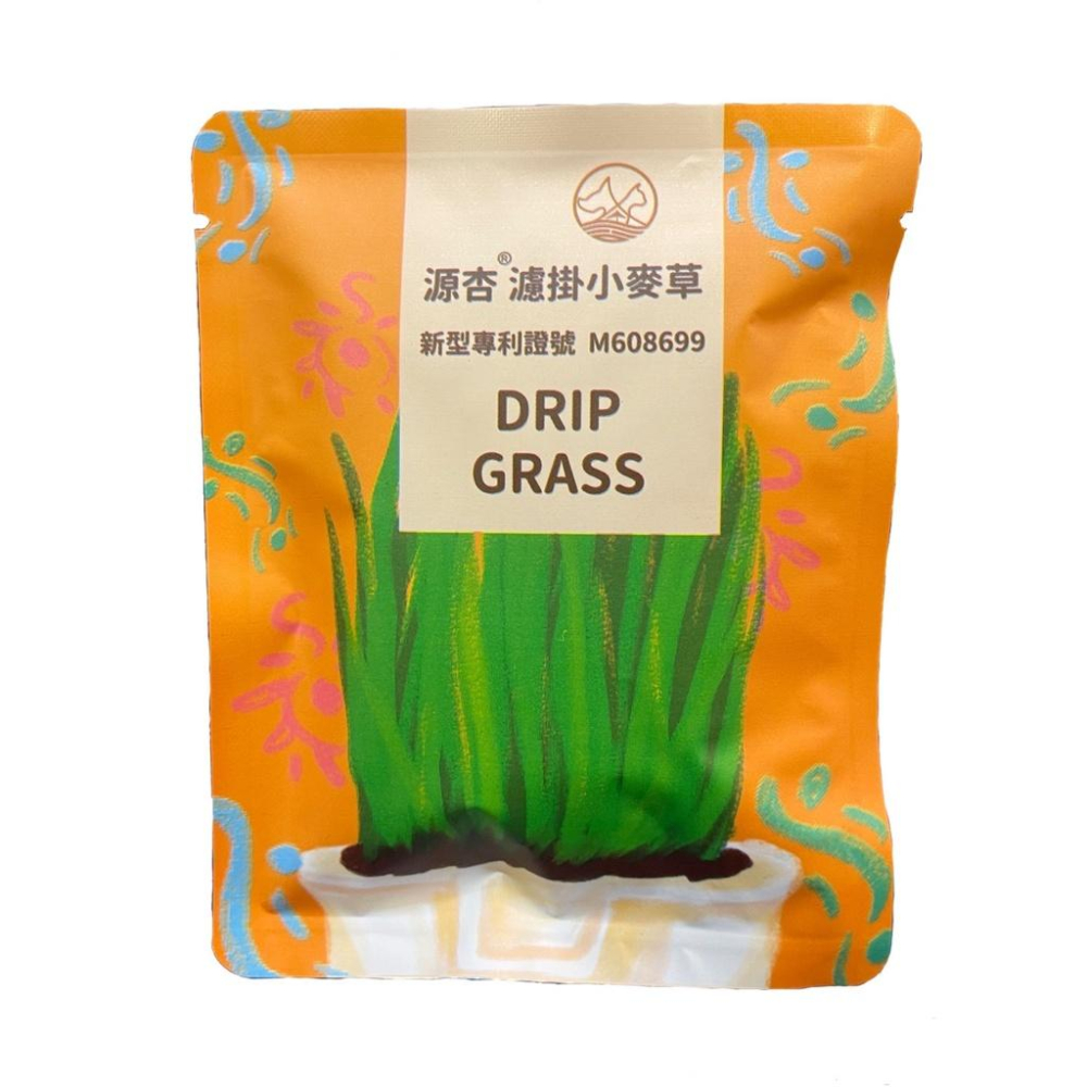 🍀小福袋🍀DIY 濾掛式 源杏 小麥草 養生 草本 優質 蔬菜 麥苗 葉綠素 培養土 種植盒組 辦公觀賞盆栽 橘袋-細節圖4