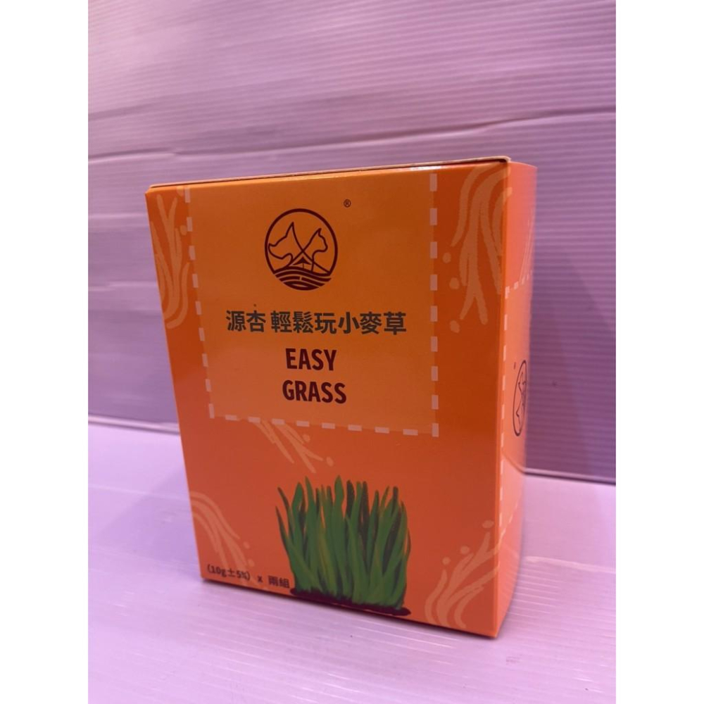 🎀小福袋🎀源杏 輕鬆玩 小麥草 一盒2盆入 養生 草本 優質小 蔬菜麥苗 葉綠素 培養土 種植盒 辦公觀賞盆栽-細節圖2