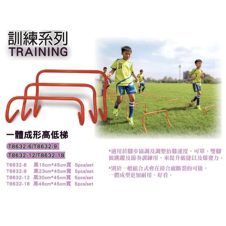 【Cat House Sport】CONTI｜一體成形高低梯-四種高度-細節圖2