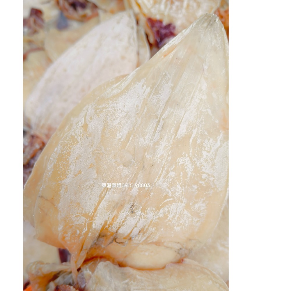 東港順記  透抽乾 小管乾 一夜乾 烤肉優選 氣味濃郁  小尾-細節圖2