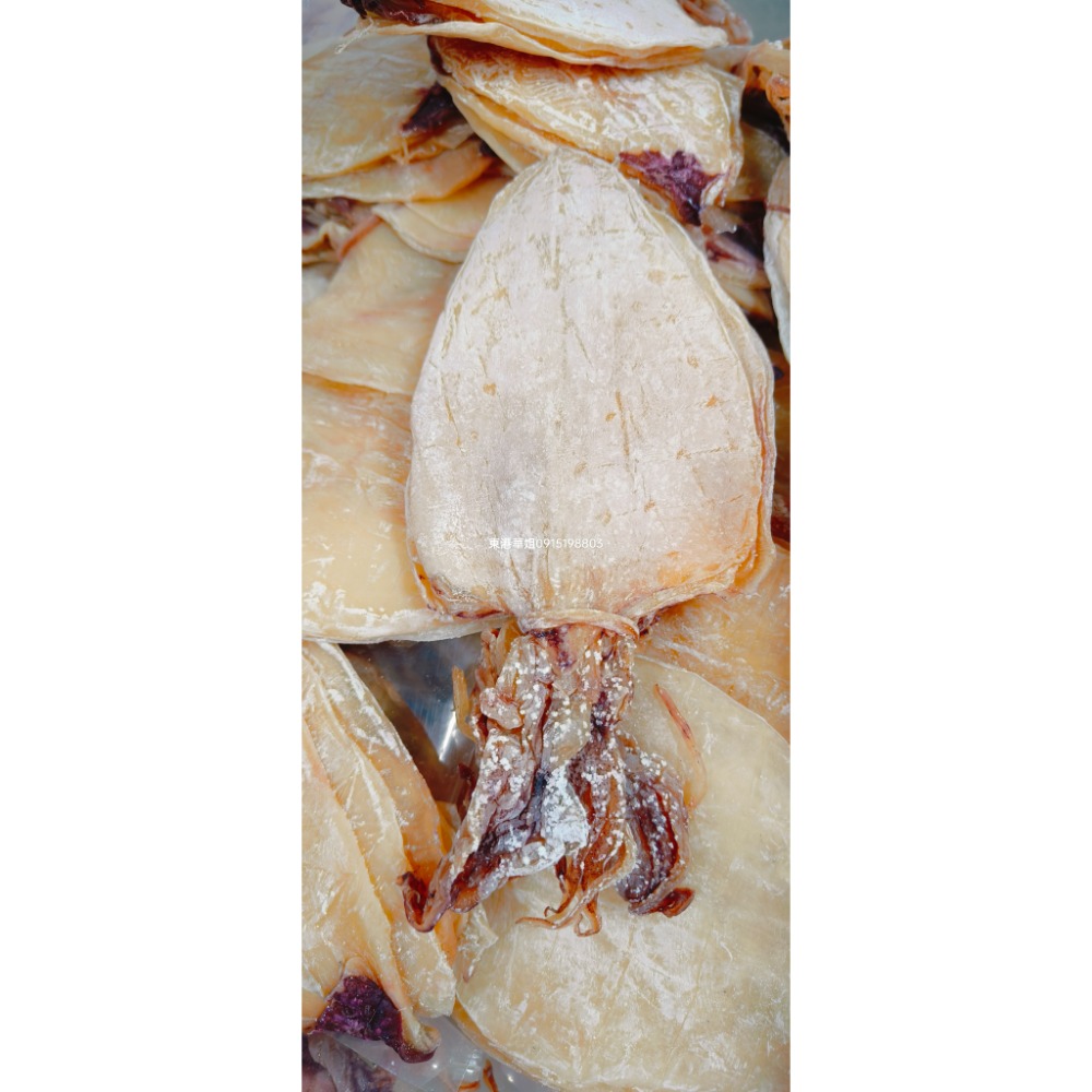 東港順記  透抽乾 小管乾 一夜乾 烤肉優選 氣味濃郁  小尾-細節圖3