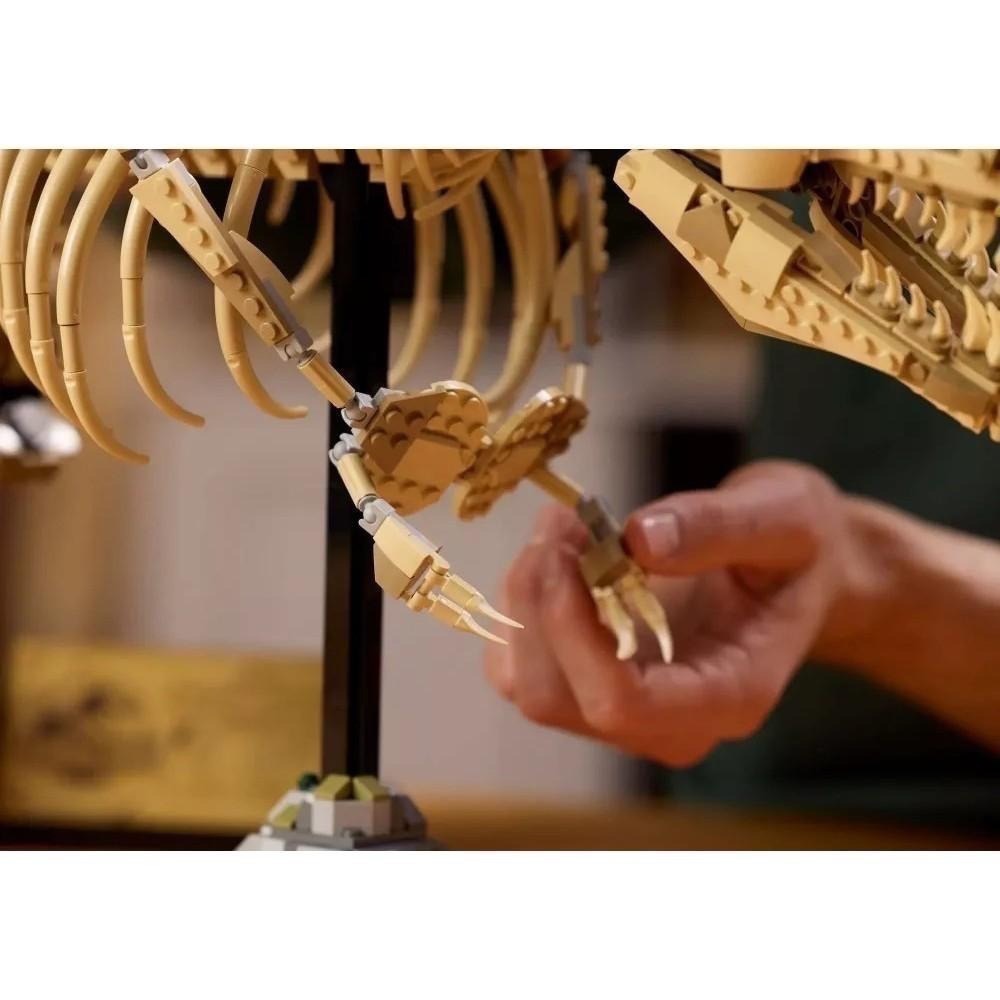 [樂享積木] LEGO 76968 侏羅紀大暴龍化石 侏羅紀世界系列-細節圖8