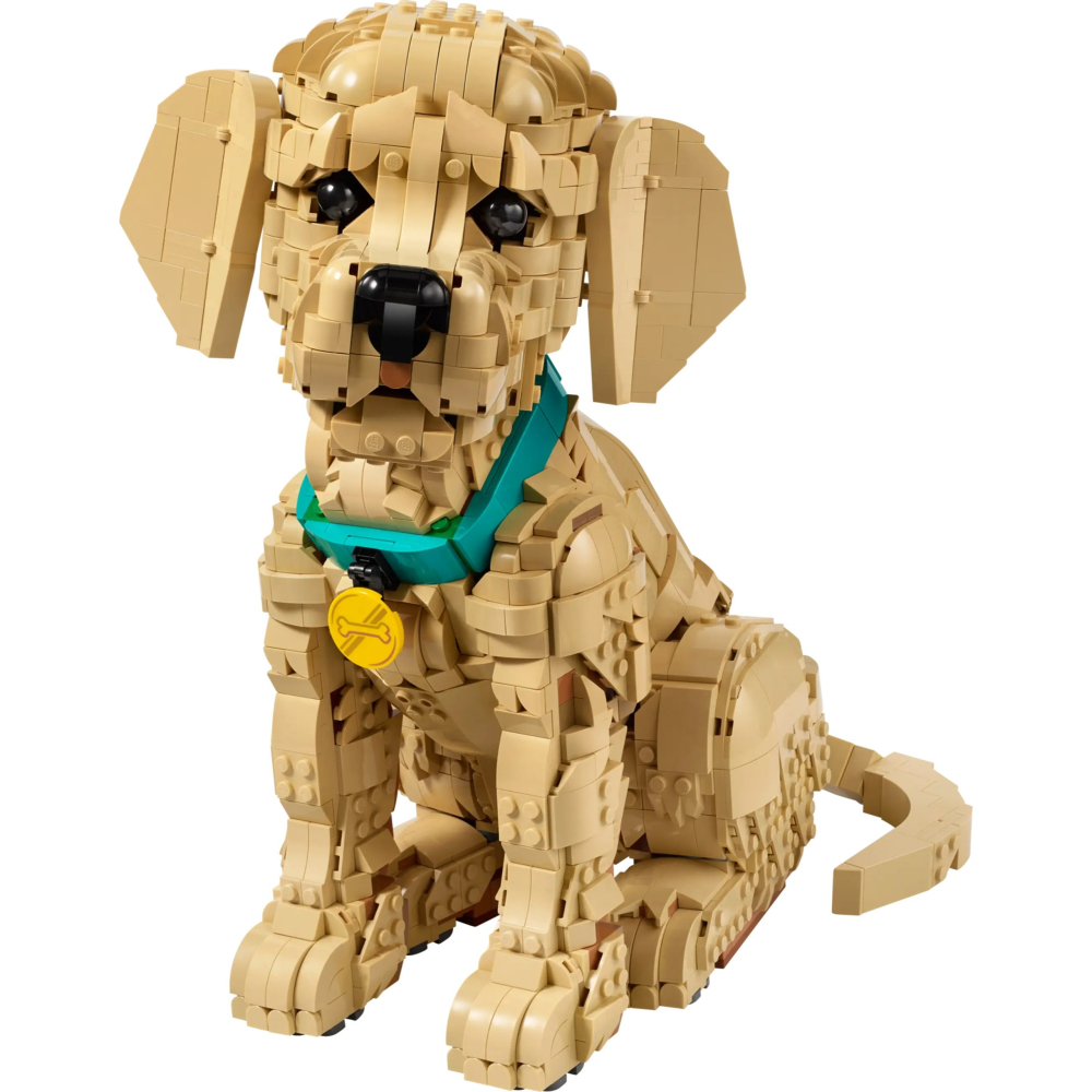 [樂享積木] LEGO 11384 小黃金獵犬 Golden Retriever Puppy ICONS系列-細節圖3