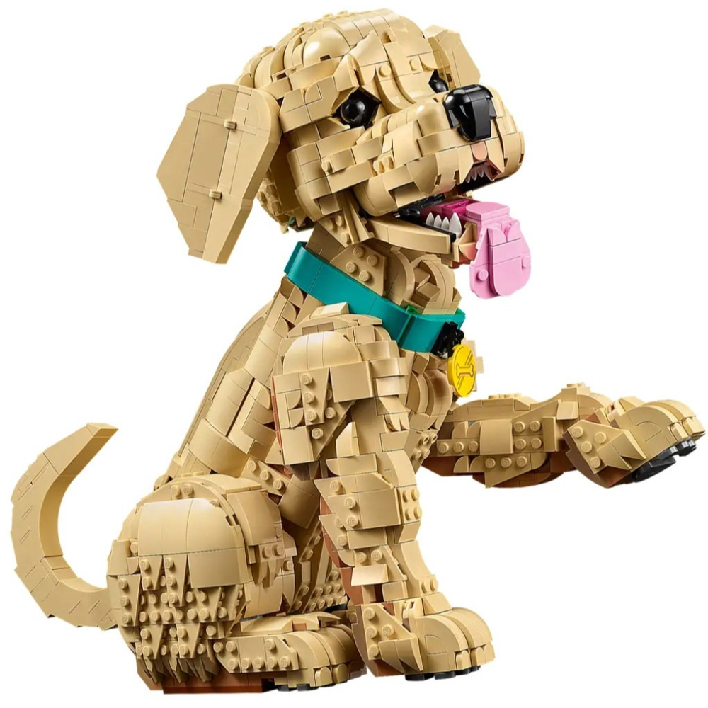 [樂享積木] LEGO 11384 小黃金獵犬 Golden Retriever Puppy ICONS系列-細節圖4