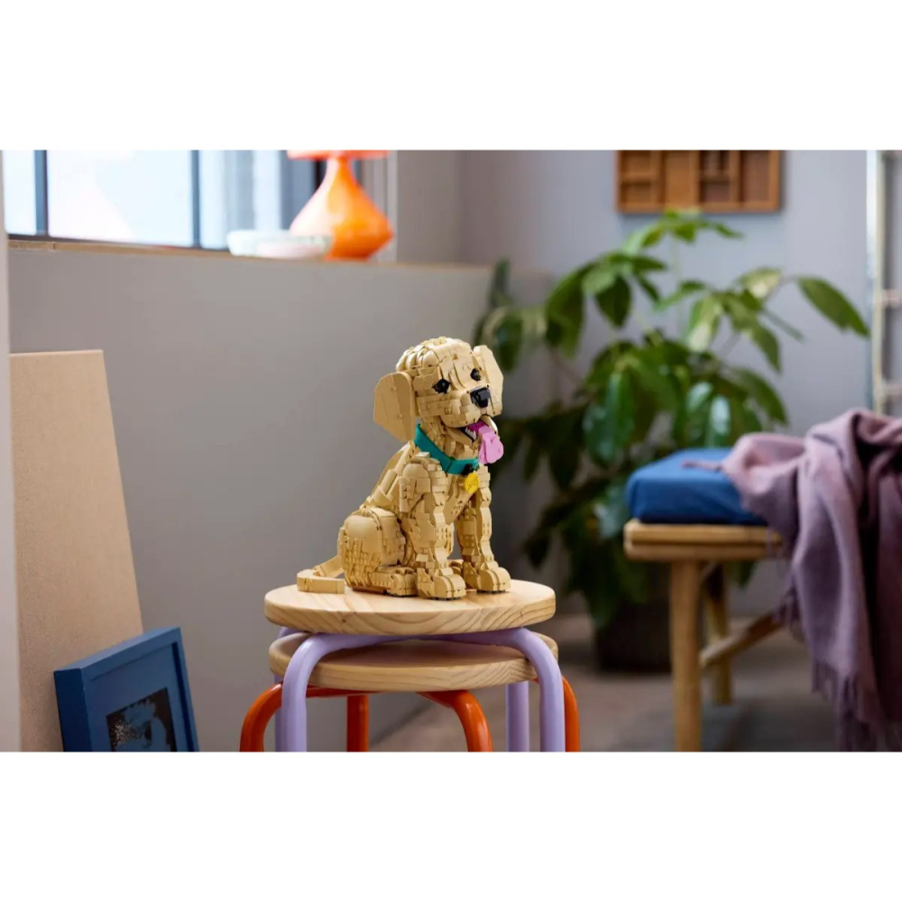 [樂享積木] LEGO 11384 小黃金獵犬 Golden Retriever Puppy ICONS系列-細節圖11