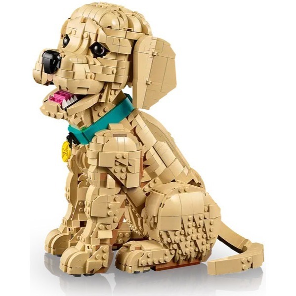 [樂享積木][可刷卡] LEGO 11384 小黃金獵犬 Golden Retriever Puppy ICONS系列-細節圖5