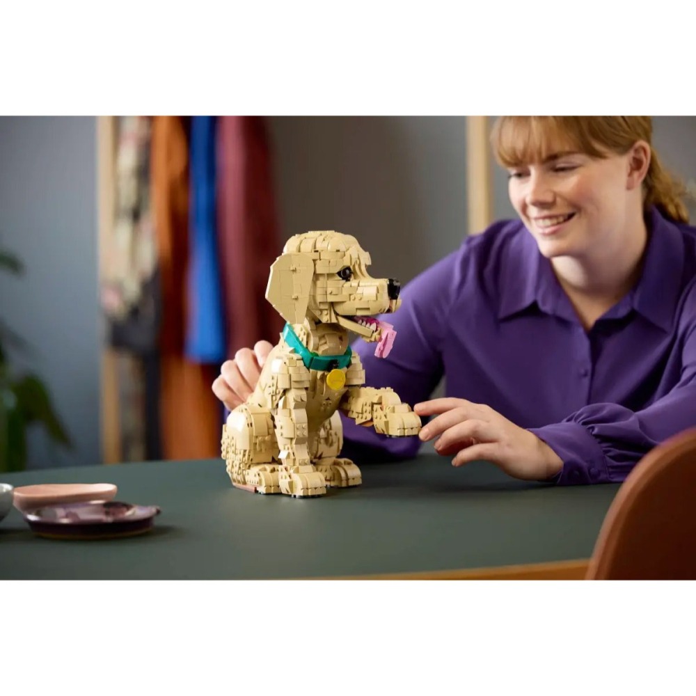 [樂享積木][可刷卡] LEGO 11384 小黃金獵犬 Golden Retriever Puppy ICONS系列-細節圖6