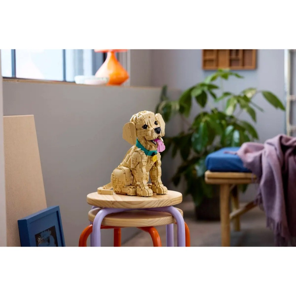 [樂享積木][可刷卡] LEGO 11384 小黃金獵犬 Golden Retriever Puppy ICONS系列-細節圖11