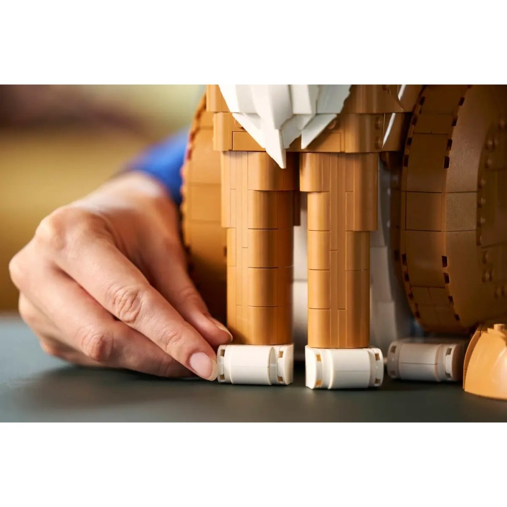 [樂享積木] LEGO 21376 橘貓 IDEAS系列-細節圖8