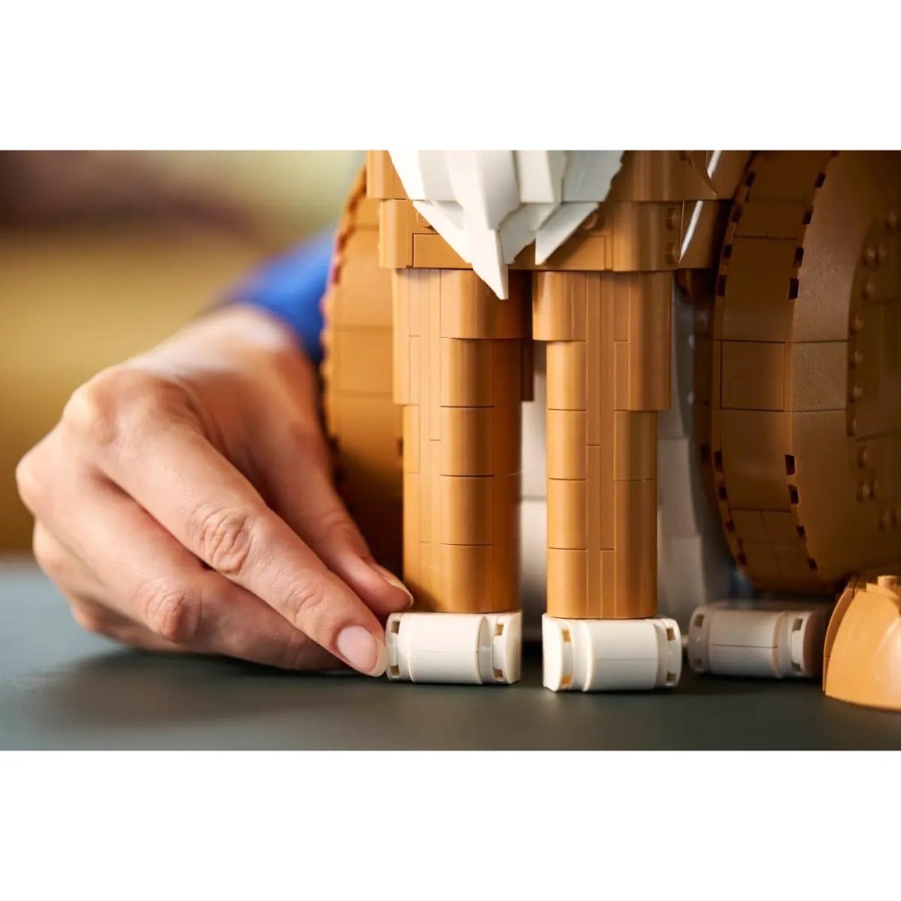 [樂享積木][可刷卡] LEGO 21376 橘貓 IDEAS系列-細節圖8