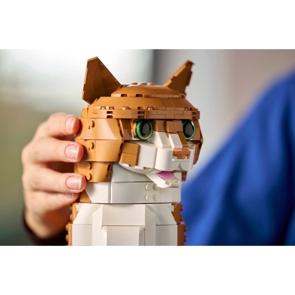 [樂享積木][可刷卡] LEGO 21376 橘貓 IDEAS系列-細節圖9