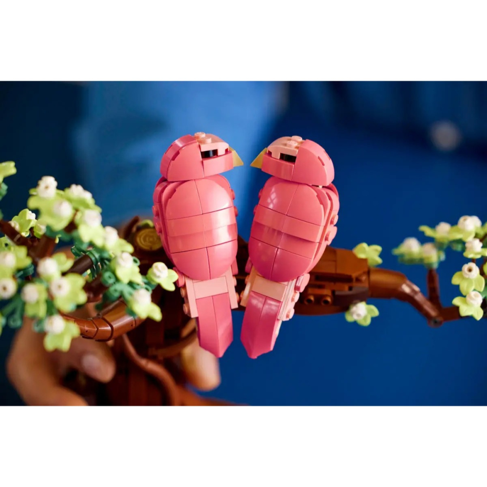 [樂享積木] LEGO 21365 情侶鸚鵡 IDEAS系列-細節圖10