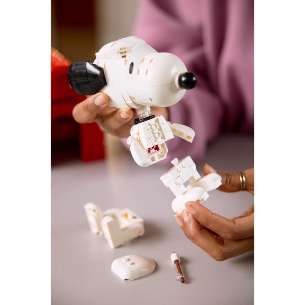 [樂享積木][可刷卡] LEGO 21368 花生漫畫：史努比的狗屋 IDEAS 系列-細節圖7