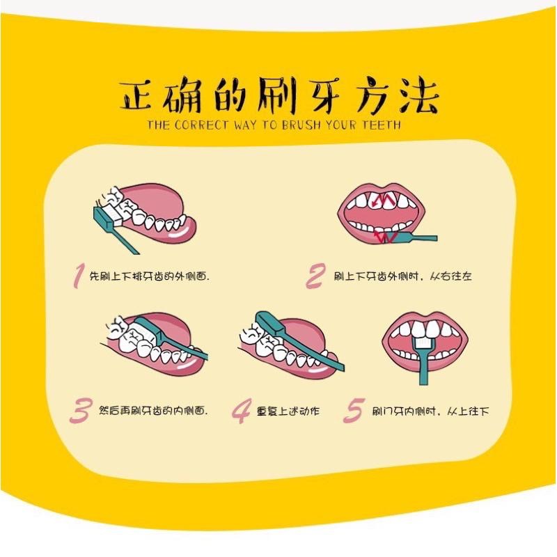 🪥 小熊牙刷 🪥  軟毛牙刷 盒裝牙刷 短柄牙刷 矽膠牙刷 可愛牙刷-細節圖8