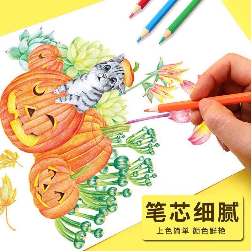 🌈 可擦彩色鉛筆 ✏️ 美術彩色鉛筆 學生彩色鉛筆 素描彩色 長彩鉛 12//24/36/48 彩鉛 石墨筆芯-細節圖4