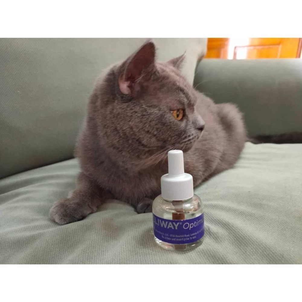 法國FELIWAY Optimum Cat (30天套組48ml ) 增強鎮靜費洛蒙擴香 緩和貓咪情緒 ！最新款！補充罐-細節圖3