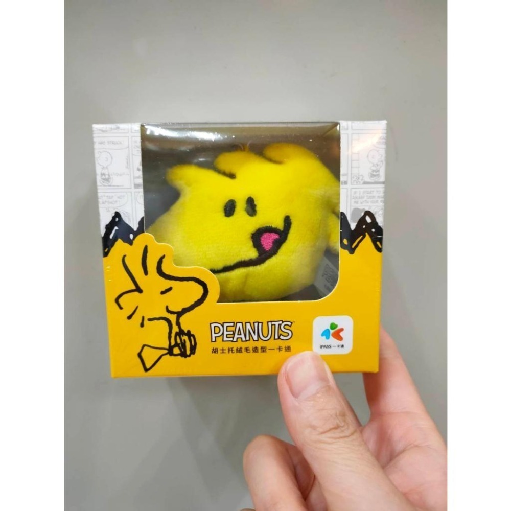 一卡通iPass 立體造型 TSUMTSUM奇奇蒂蒂 BT21 絨毛LOVE&PEACE布丁狗美樂蒂 絨毛SNOOPY-細節圖4