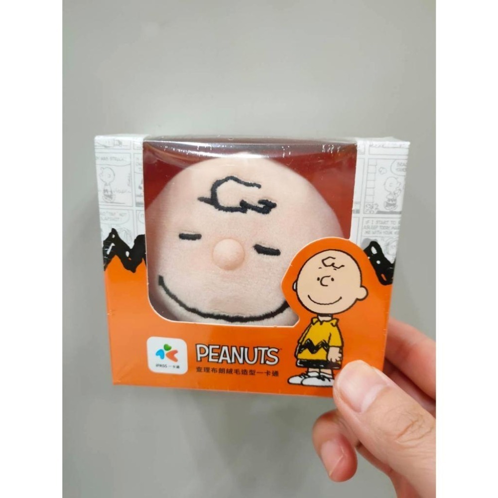 一卡通iPass 立體造型 TSUMTSUM奇奇蒂蒂 BT21 絨毛LOVE&PEACE布丁狗美樂蒂 絨毛SNOOPY-細節圖5