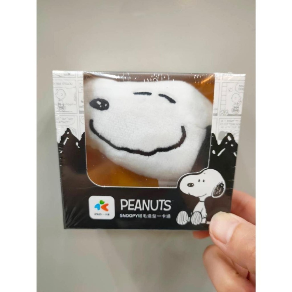 一卡通iPass 立體造型 TSUMTSUM奇奇蒂蒂 BT21 絨毛LOVE&PEACE布丁狗美樂蒂 絨毛SNOOPY-細節圖6