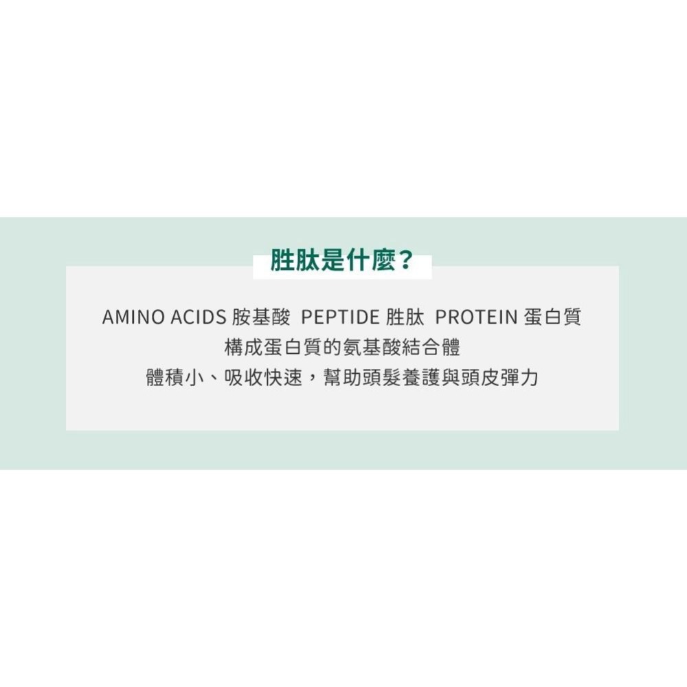 全新韓國🌿SOMEBYMI🌿積雪草胜肽護髮洗髮精 285ml 𝐂𝐈𝐂𝐀 𝐒𝐇𝐀𝐌𝐏𝐎𝐎-細節圖7