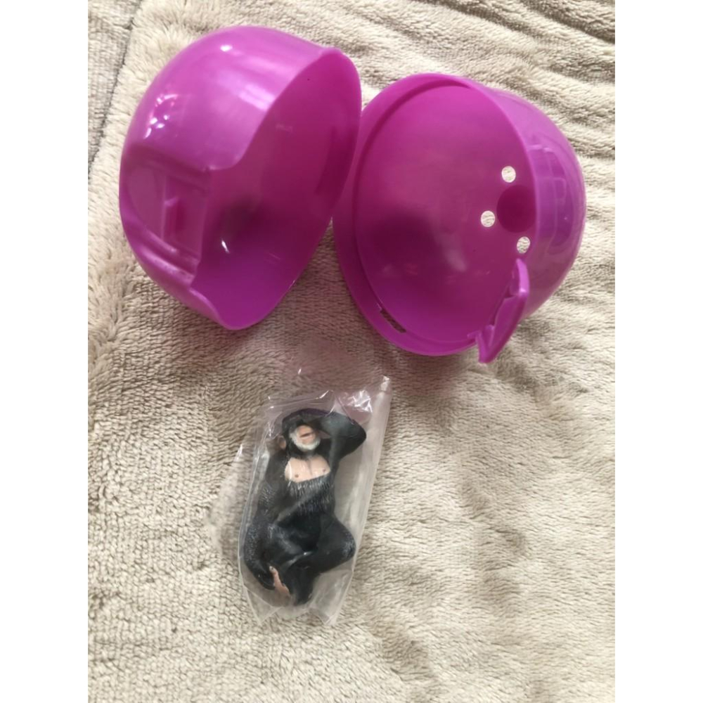 全新【ZooZooZoo】休眠動物園  扭蛋 轉蛋 神療癒第六彈！ 睡覺動物園  軟萌慵懶感-細節圖3