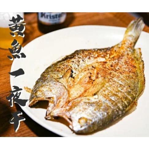 【八通食品】香煎黃魚一夜干.南／專營餐廳、嚴選食材／挑戰最低價／一夜乾／居酒屋／日式／海鮮-細節圖2